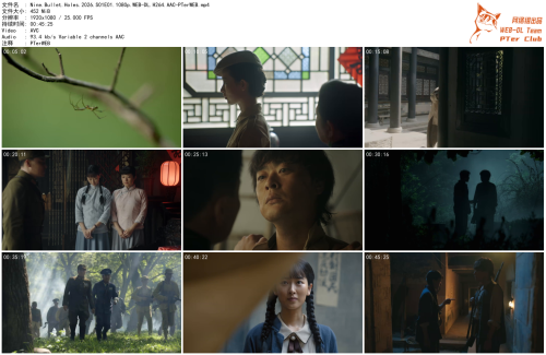 747538688 nine bullet holes 2026 s01e01 1080p web dl h264 aac pterweb thumb