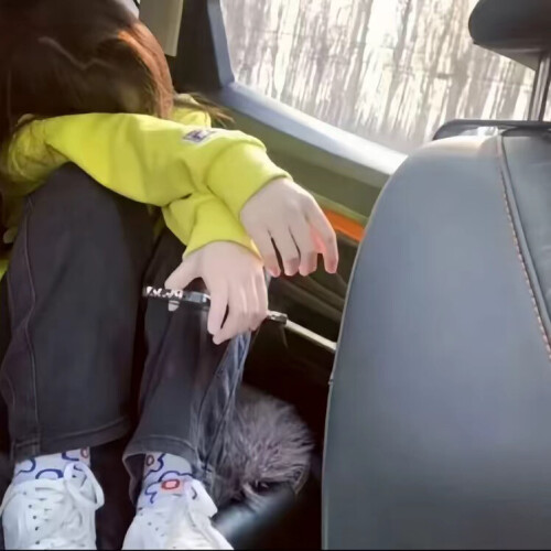 haiou chat 1420378475734503424 1760239440926 (1)