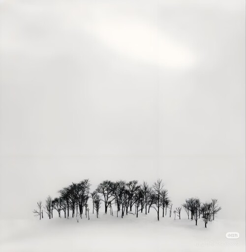 Camera XHS 17608906249321040g2sg31ealb224gu105nnl89h0bsipqme0d10