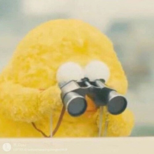 mmexport1735052426922