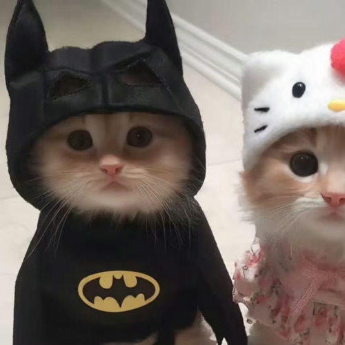 com.xingin.xhs 20251020194831