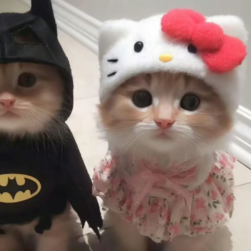 com.xingin.xhs 20251020194837