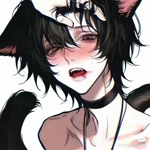 Camera XHS 1762701679449