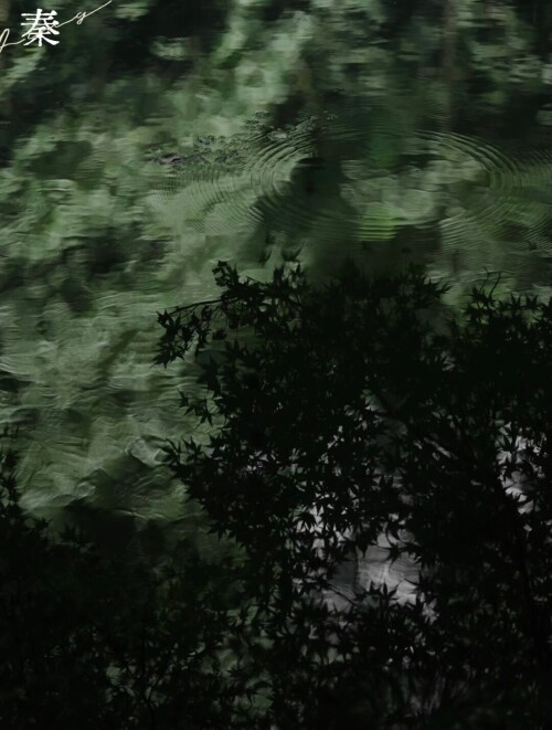 MEITU 20251109 022028984