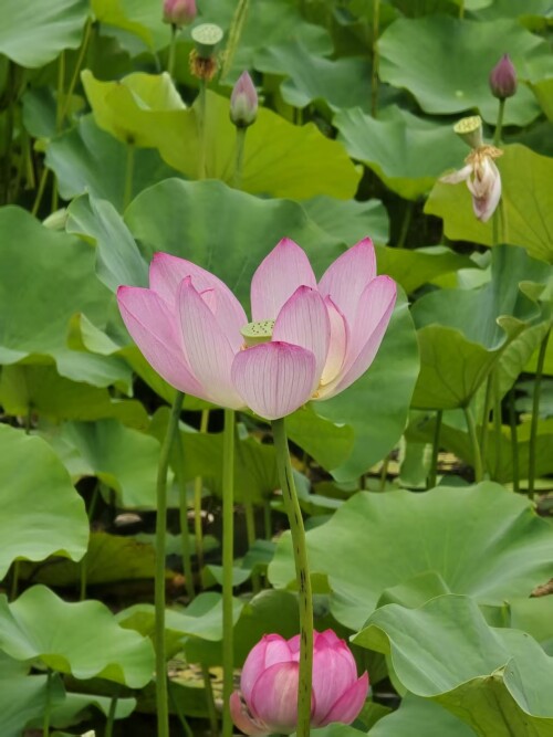 微信图片 20251107153432 45 45