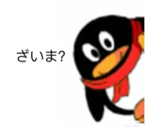 Camera XHS 1757468920004