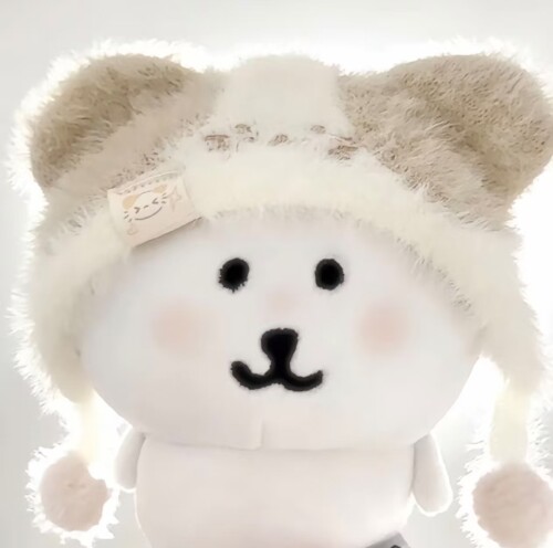 mmexport1763062192795