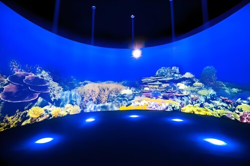 dc11cf32 2008 4fc8 9546 68f14cd798db