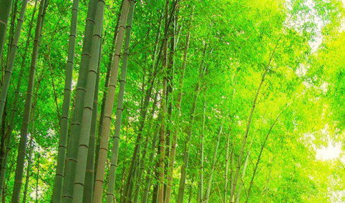 a9d4b444c4df85bc08548d2e1e3e1dee