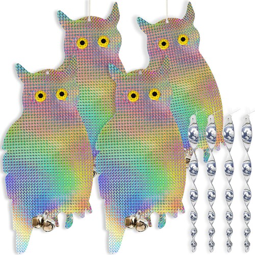 Y0211-4b78b66e1d99e7601811e7755136f8ff.jpg