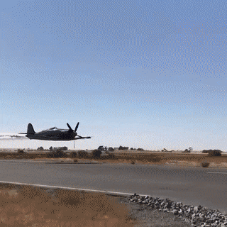 0-812acdf0bb1822be56e3e7f2d7399a52.gif