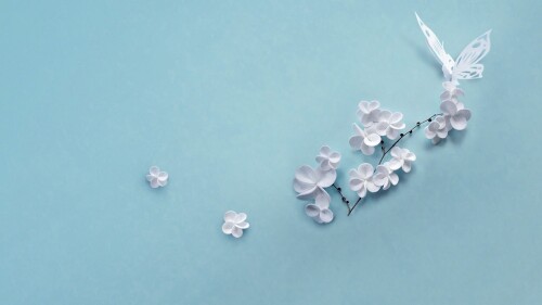 花花