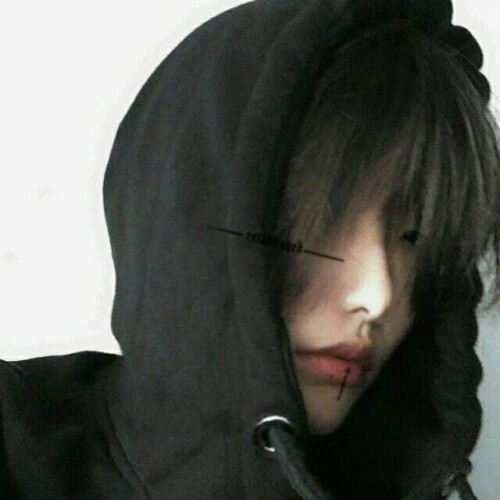 mmexport1764019506885