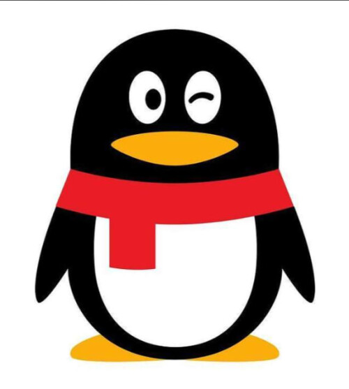 photo 2025 11 20 10 11 59