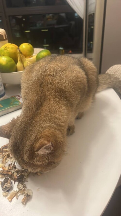 photo 2025 11 25 17 58 33 (2)