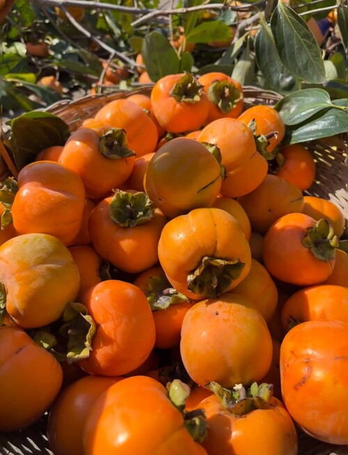 photo 2025 10 01 16 42 27