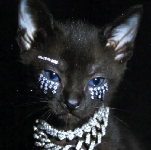 mmexport41b5a2c66a5fd3e7ce5a8333bebdd736 1756871206807