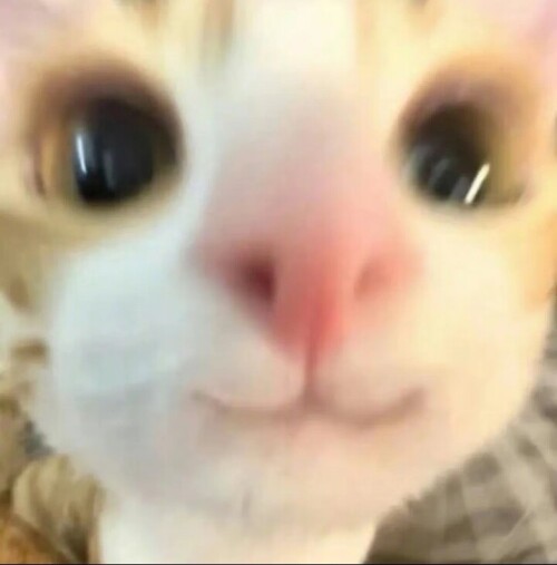 Screenshot 20251119 075741 com xingin xhs NoteDetailActivity