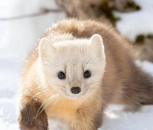 微信图片 20251128094436 10 64