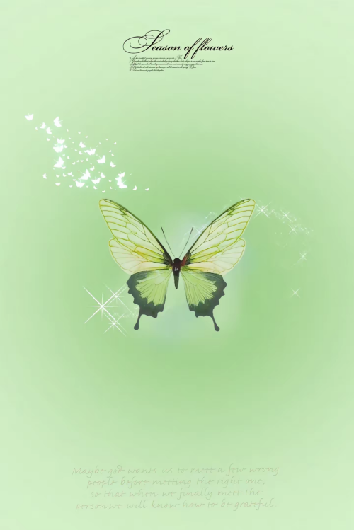 Screenshot 2025 1204 173629