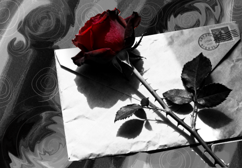 8691765202253 .pic hd