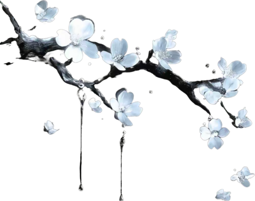 retouch 2025120822104058