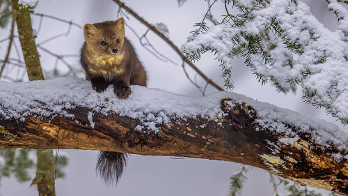 265906289 1621830880179