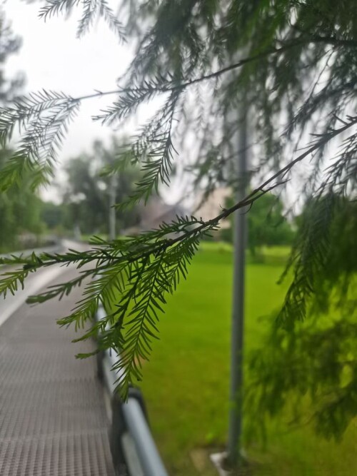 photo 1 2025 11 29 21 07 39