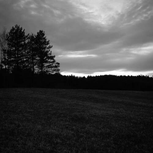 mmexport1764084946063