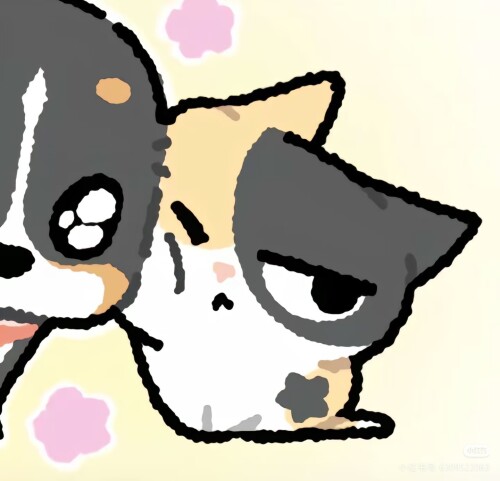 Camera 1040g3k031lkvboum501g5oa1don0kl6hftd4s70