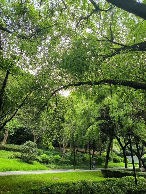 MVIMG 20250703 135854