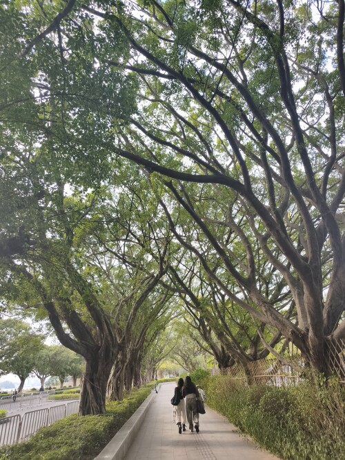 MVIMG 20251121 155345