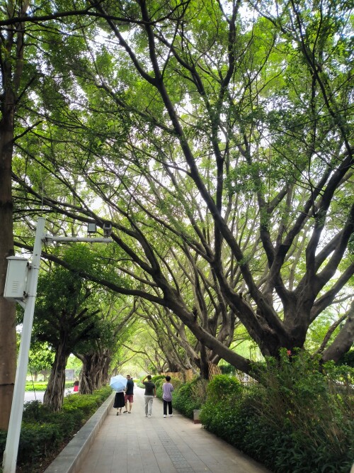 MVIMG 20250703 103817