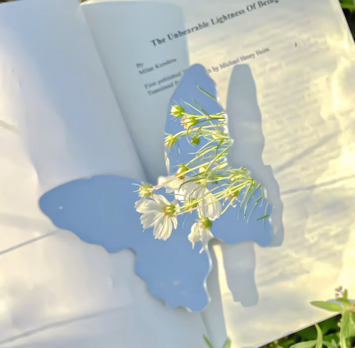 Screenshot 2025 1205 001007