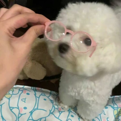 微信图片 20251118205203 3 1094