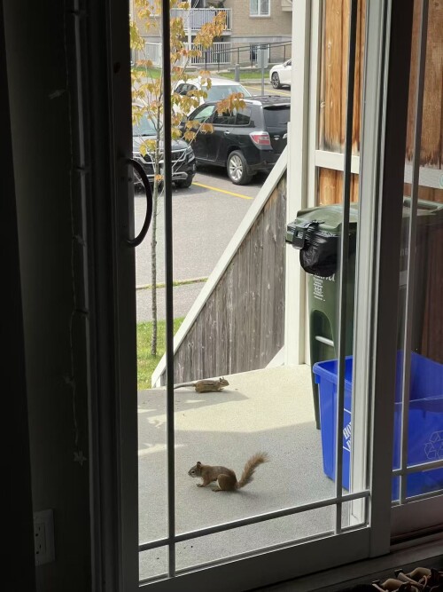 00ffba2dd36bf4b082a1b0d2aae103ad