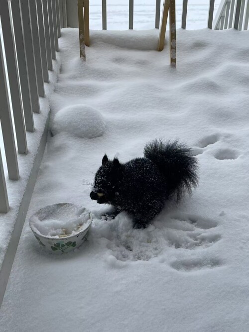 7bba336f53afb45b5e06cecdc3ab2245