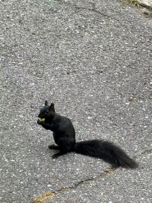 3023b8e517b7c29360ef0d439dc71552