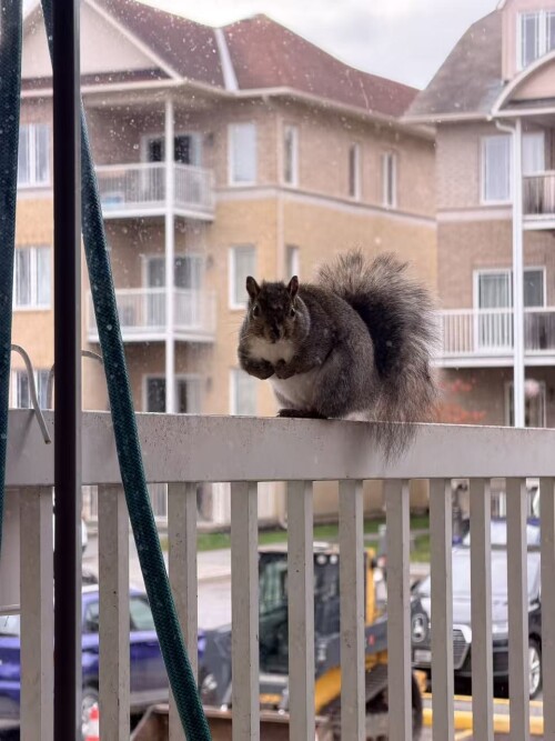 caab056b2dc508f0915b68afa07613c9