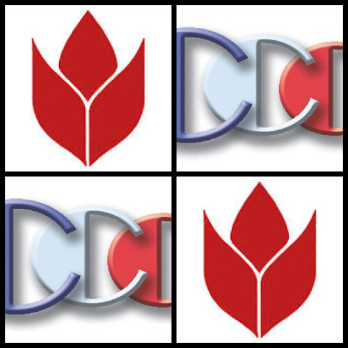 Success and inner growth podcast guest CEO Richard Blank Costa Ricas Call Center