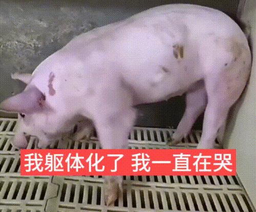 我躯体化了一直在哭