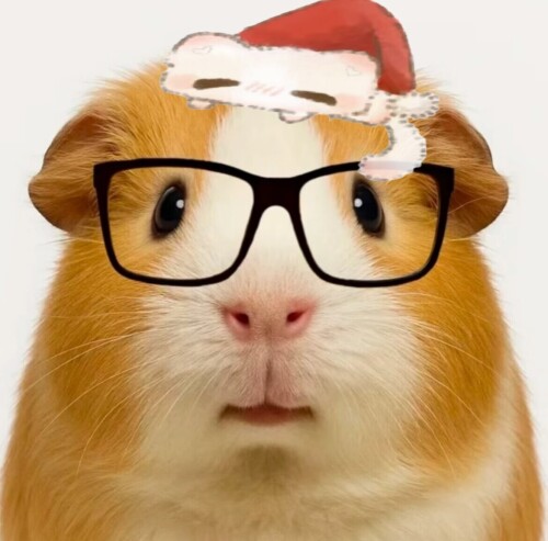 retouch 2025121917275096