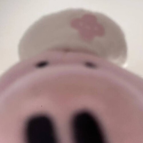 mmexport1765087606814