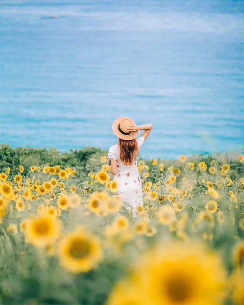 src=http image109.360doc.com DownloadImg 2023 03 2414 263090060 3 20230324025642256.jpg&refer=http i