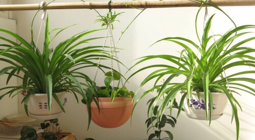 f7adde9646db2cdeb42e7e2ba6c1f067