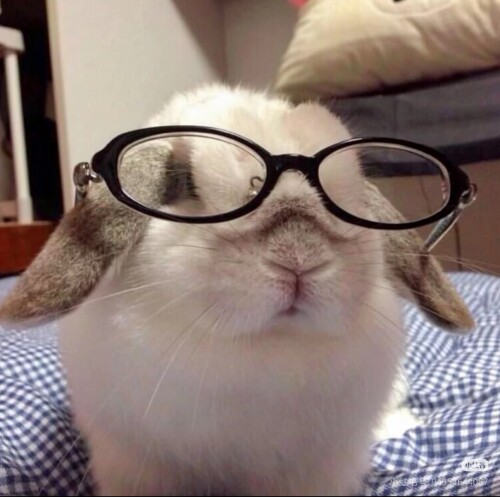 Camera 1040g3k831o8rm9d24q705q4ujsnmbumje7lqse0