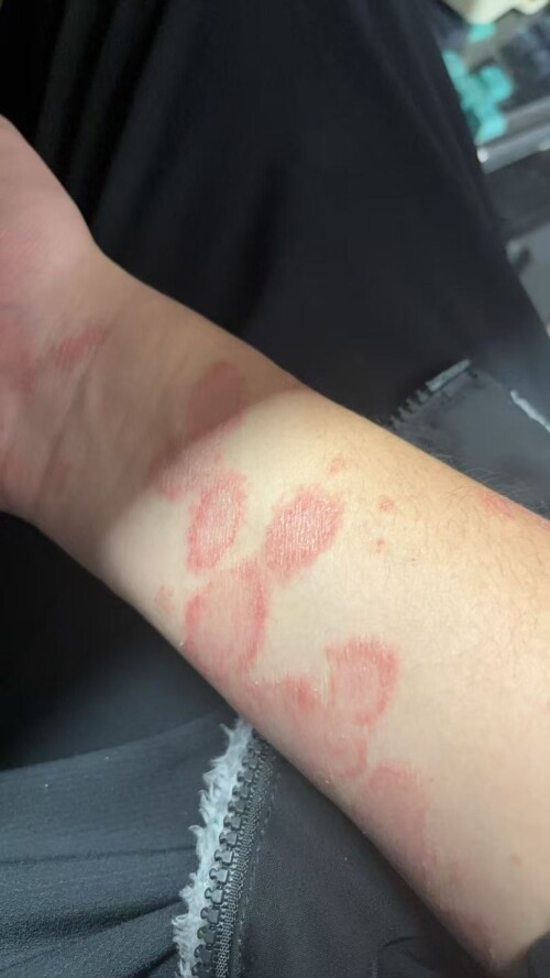 8837f4d6858072cbde2476a6df77b349