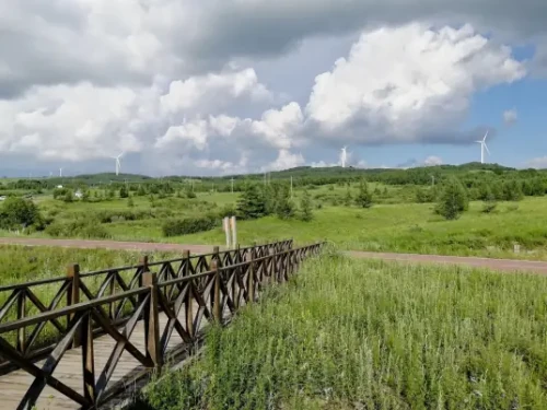 cf1b9d16fdfaaf51f3de33b67c0683eef01f3a29cc25