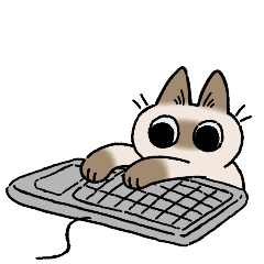 CI0X5D%YO91W4G@4ZQKCY8X