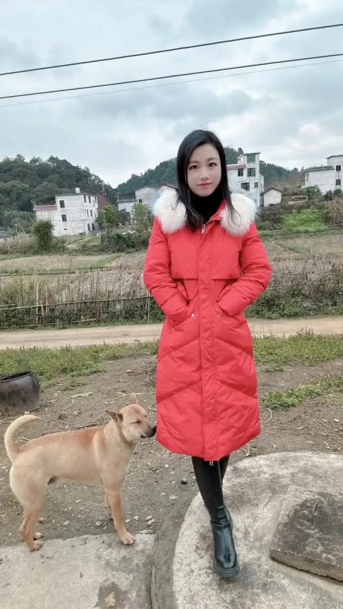 u=3368091777,3858897622&fm=253&fmt=auto&app=138&f=JPEG